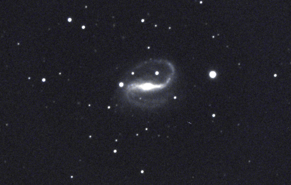 NGC7479 Galaxy